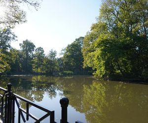 tłumy spokojnie spacerujących spacerowiczów w Pszczynie ZDJĘCIA