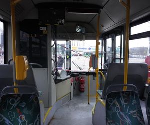 Katarzynki 2024 - wystawa autobusów przy Galerii Panorama