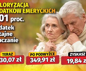 Waloryzacja 6,01 proc. dodatków emeryckich