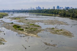 Wisła wysycha. Tak źle nie było nigdy w historii. Zdjęcia z lotu ptaka obrazują skalę suszy