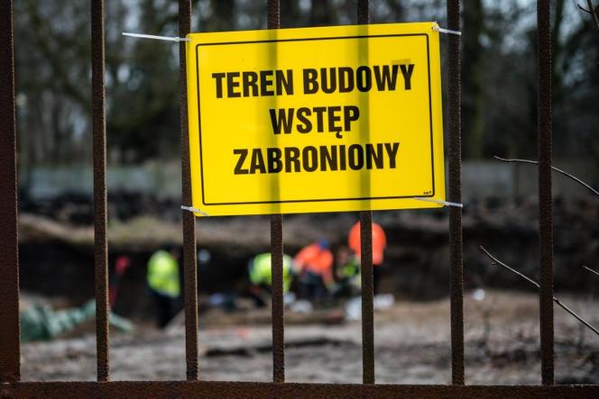 Nielegalna wycinka drzew w parku Steffensów w Gdańsku