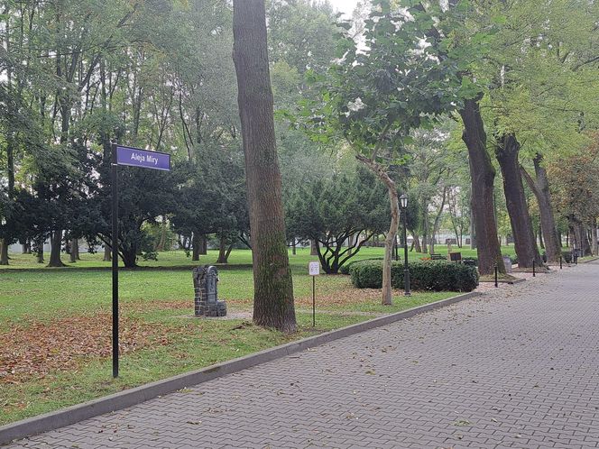 Park Zdrojowy w Krakowie