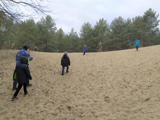 Siedlczanie szukali pierwszych śladów wiosny wraz z leśnikami z Nadleśnictwa Siedlce