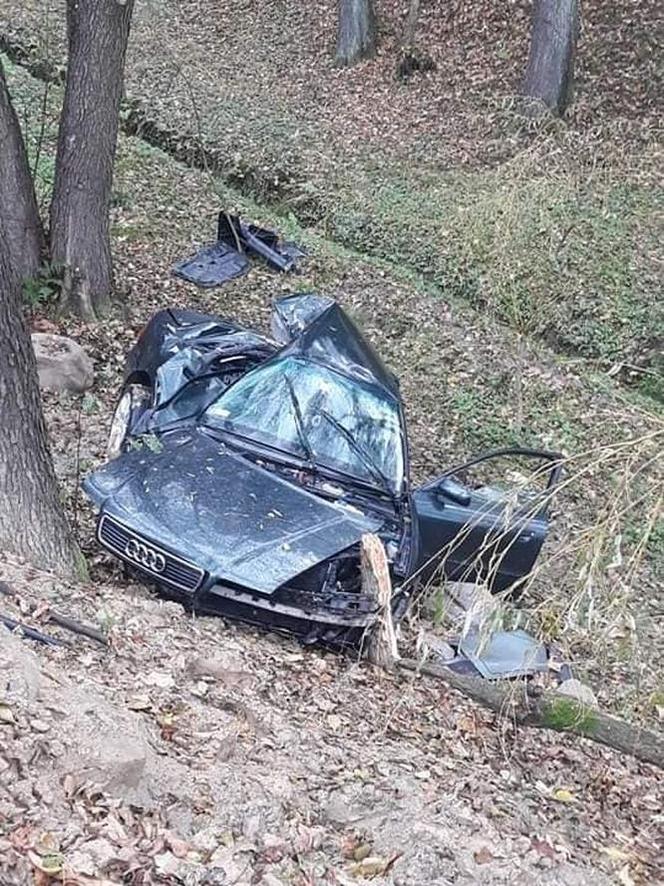 Libusza. Osobówka wypadła jezdni prosto na drzewo! W środku dwie zakleszczone osoby