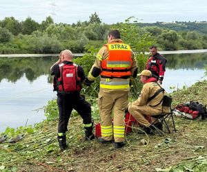 Akcja ratunkowa na Dunajcu. Ciągnik z operatorem wpadł do rzeki