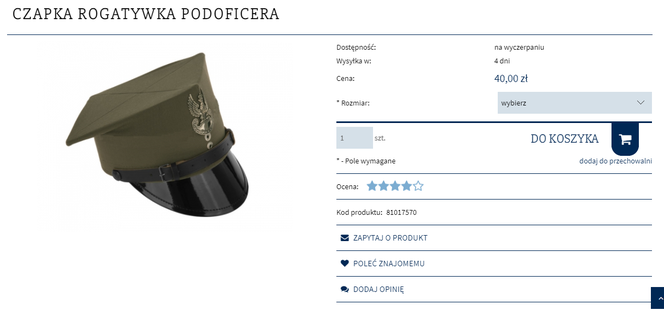 Agencja Mienia Wojskowego wyprzedaje sprzęt. To można kupić od wojska!
