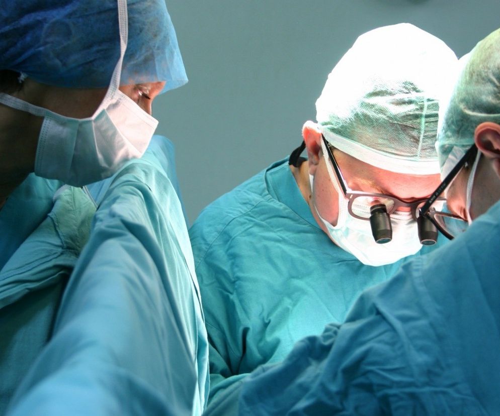 PRZESZCZEPY komórek, tkanek lub narządu. Rodzaje transplantacji