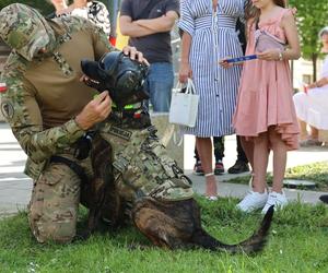 Piknik patriotyczny i koncert „Polskie Tańce Narodowe i Regionalne” na pl. Litewskim w Lublinie