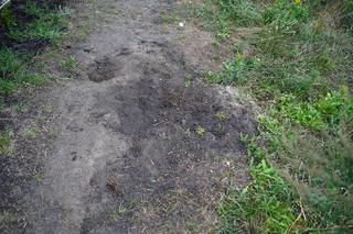 Robotnik zrzucił 30-kg kocioł, który spadł na przechodnia. 18-letni Dymytro zmarł w szpitalu. 50 metrów i by żył