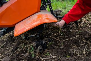 W czerwcu perz mnoży się na potęgę. W ten sposób usuniesz z trawnika perz. Wymieszaj popularną przyprawę z tym płynem i spryskaj teraz. Wypala perz w jedną noc