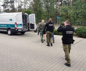 Straż Graniczna zatrzymała 17 cudzoziemców