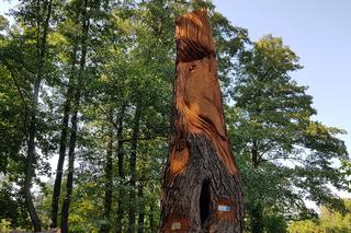 Park Kępa Potocka z nowymi rzeźbami