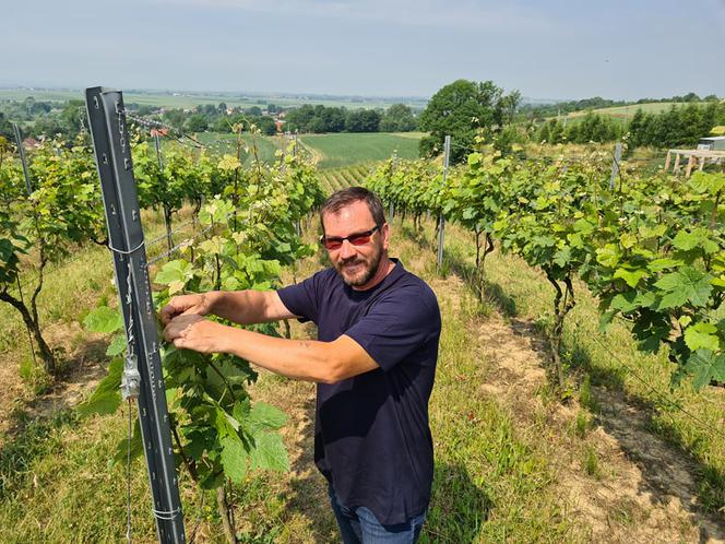 Dariusz Rosół. Pierwszy winiarz w Polsce, który może robić wino mszalne