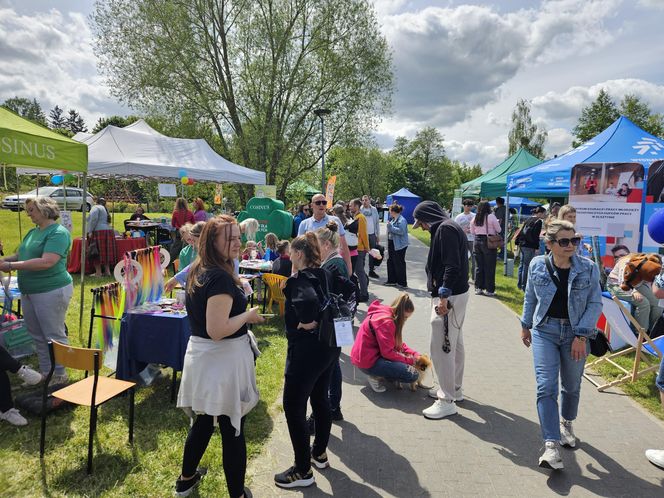 Festiwal Przyjaciół Zwierząt w Olsztynie. Park Centralny opanowały radosne pieski