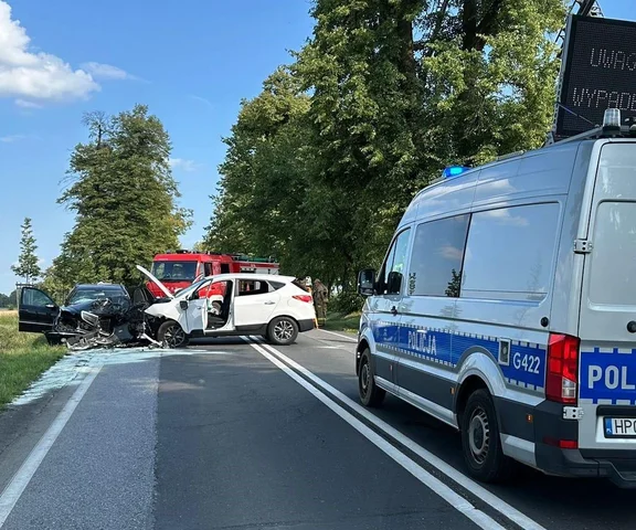Na polskich drogach ginie średnio pięć osób dziennie. Alarmujące dane