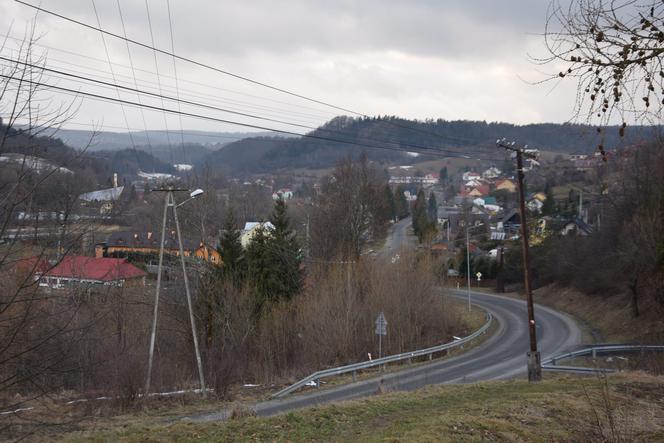 Przez wilki ludzie boją się wychodzić z domów