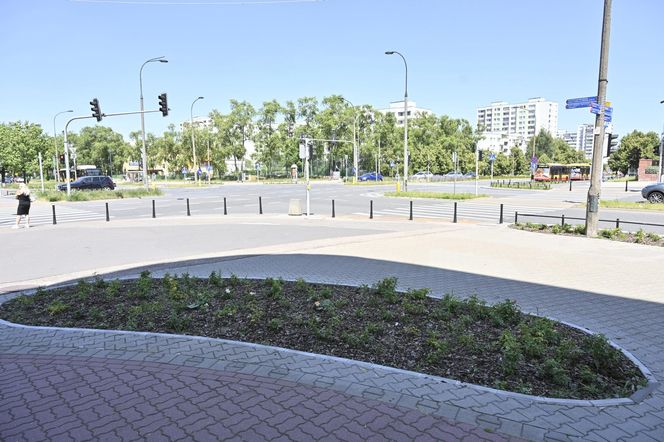 Mieszkańcy Warszawy oceniają efekty rozbetonowania stolicy. Przeżyliśmy upał na „zielonym skwerze”