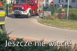 Policja zatrzymała Ukraińca, który odgrażał się za odebranie 800 plus