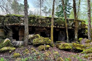 Wilczy Szaniec to jedna z najpopularniejszych atrakcji w Polsce. Zobacz zdjęcia