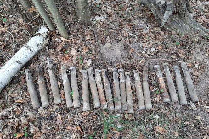 Bomby przeciwlotnicze pod Wągrowcem! Niezwykłe znalezisko w lesie