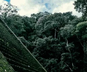 Odnaleziono zaginione miasto Majów. Struktury podobne do piramid
