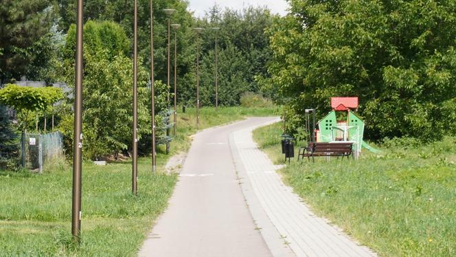 Wakacyjny spacer pod kładką nad wąwozem na Czubach. To jedno z najbardziej zielonych miejsc w Lublinie!