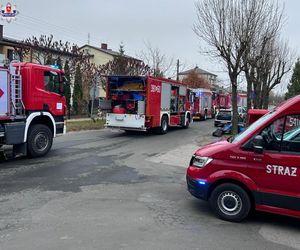 Tomaszów Lubelski. Nie żyje 2-letni chłopczyk! W piwnicy był rozłożony środek na gryzonie i owady!