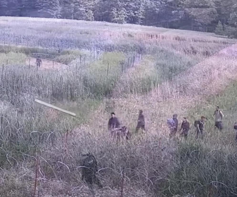 Duża grupa migrantów zaatakowała polskich żołnierzy, policjantów i pograniczników