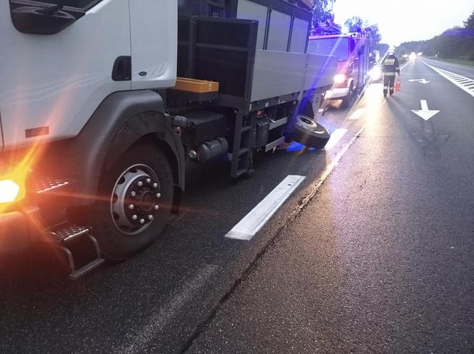 Wypadek na DK 10 w Solcu Kujawskim! Ciężarówka wypadła z drogi i uderzyła w drzewa [ZDJĘCIA]