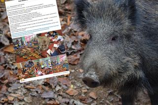 Szokujące sceny w Gorzowie Wielkopolskim. Z okazji Dnia Zwierząt pokazali dzieciom skóry i futra. Edukacja barbarzyństwa