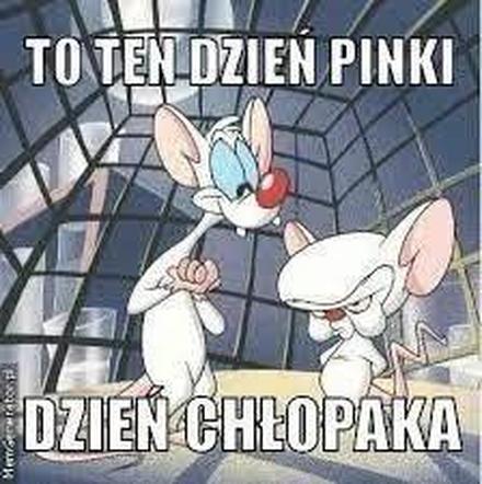 Memy na Dzień Chłopaka