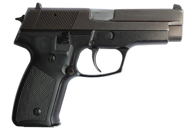 Kule zabijają na północy