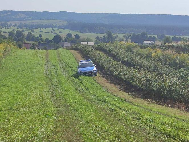 Zasłużony strażak z  Turzyńca nie żyje. Śmiertelny wypadek w czasie zrywki drewna [ZDJĘCIA]