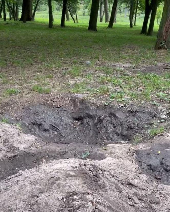 Urządzili sobie tor przeszkód w zabytkowym parku