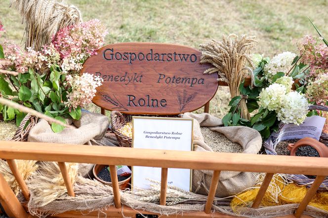 Dożynki w Woźnikach. Dożynki Województwa Śląskiego