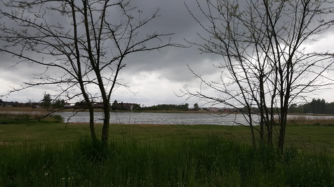 Nowa plaża nad Jeziorem Tarpno w Grudziądzu coraz bliżej. W ratuszu otwarto koperty z ofertami [ZDJĘCIA]