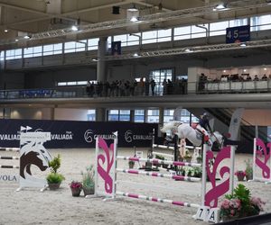 Cavaliada 2024. Pierwszy dzień rywalizacji w Poznaniu