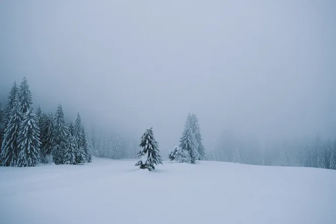 -8 stopni w ciągu dnia. W środę zaatakuje arktyczne powietrze. Tutaj spadnie najwięcej śniegu