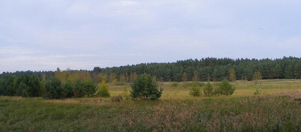 Opustoszałe wsie wokół Gorzowa - Koza