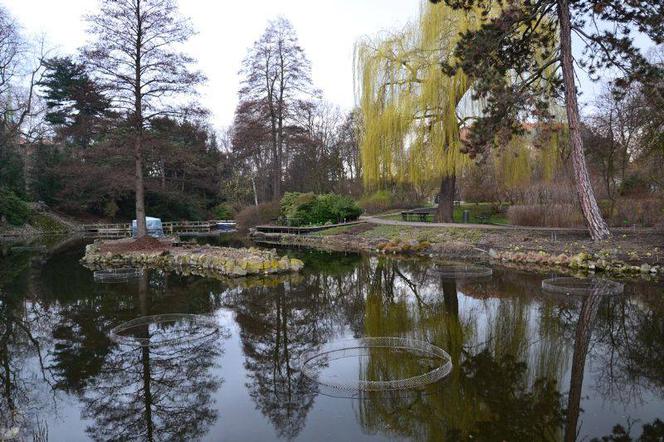 Ogród Botaniczny Uniwersytetu Wrocławskiego