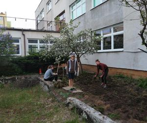 W Fordonie powstaje ogród społeczny. Każdy może dołączyć z łopatą czy sekatorem w ręku!