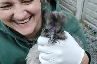 Emilia Korolczuk teraz - tak wygląda gwiazda Rolnicy. Podlasie