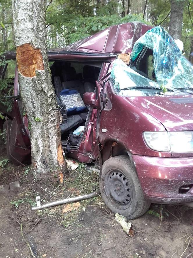 Groźny wypadek na drodze z Poznania [ZDJĘCIA]