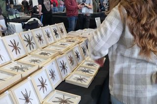 Targi Exotic Fest odbyły się w Poznaniu