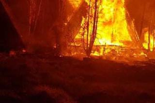 Pożar domków letniskowych w podbydgoskim Borównie! [ZDJĘCIA]