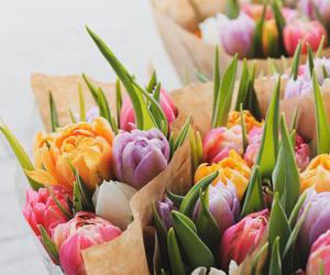 Bukiet pięknych tulipanów tylko za 1 ZŁ?! To nie żart. W tym sklepie kupisz kwiaty najtaniej