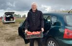 Samozbiory pomidorów na plantacji w Niewirkowie cieszą się powodzeniem