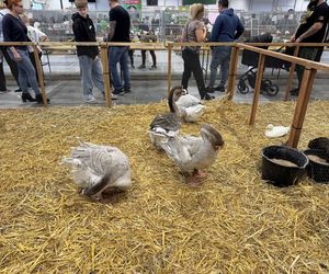 ZooPark w Lublinie. Dzień drugi
