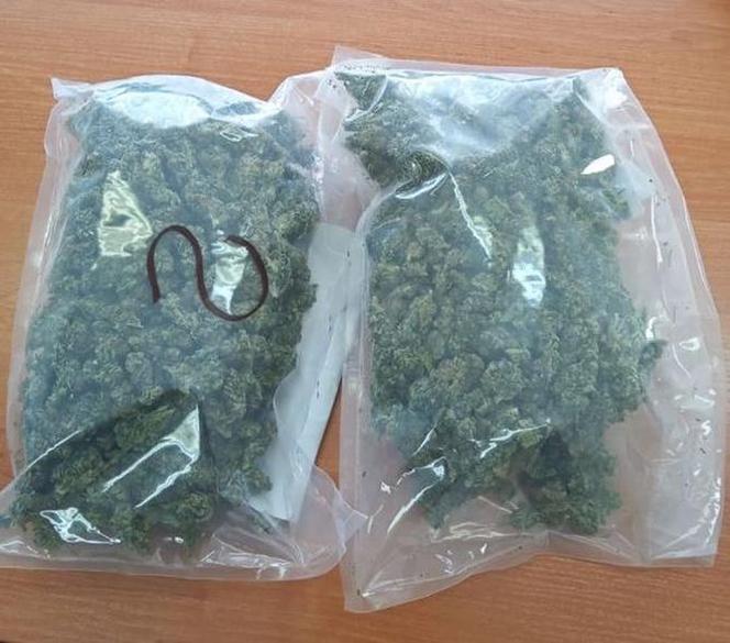 Tarnowscy policjanci przechwycili 1 kilogram marihuany