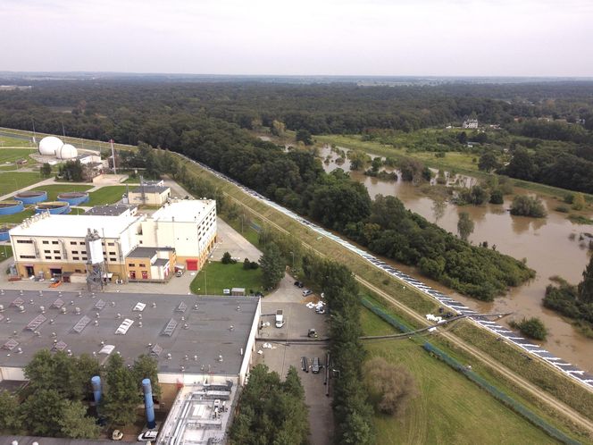 Wrocław Janówek - rozlana Bystrzyca i oczyszczalnia ścieków